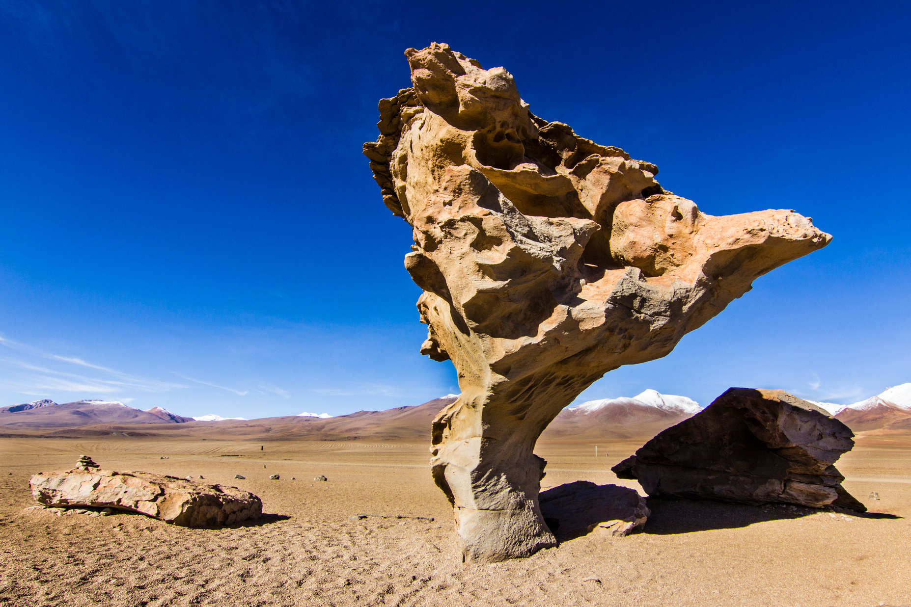 Arbol de Piedra a stone with the form of a tree at Siloli Desert on the way to Salar de Uyuni, Bolivia, South America